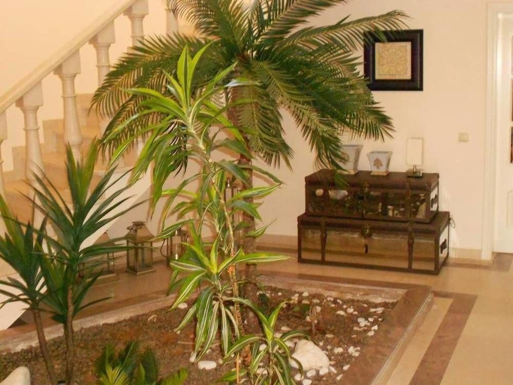 Suites & Beds Dp אלבופיירה מראה חיצוני תמונה